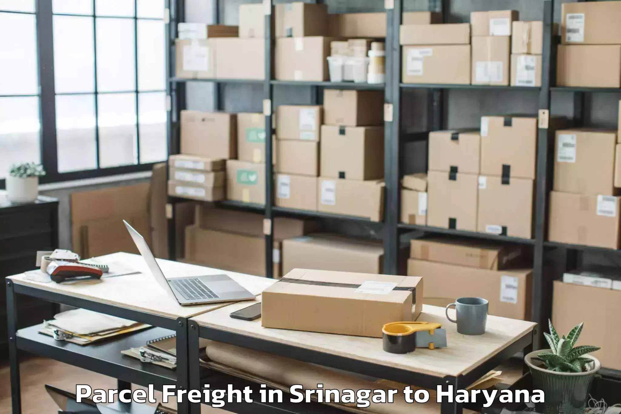 Srinagar to Karnal Parcel Freight